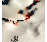 Wildbirds & Peacedrums - The Snake