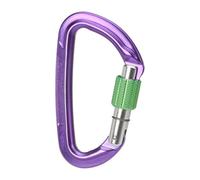 Wild Country Session Screw Gate - moschettone Purple/Green