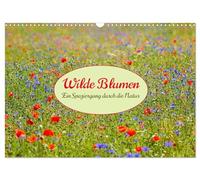 Wilde Blumen - ein Spaziergang durch die Natur (Wandkalender 2026 DIN A3 quer), CALVENDO Monatskalender: In den farbenfrohen Wildblumen zeigt sich die Artenvielfalt und Schönheit der Natur