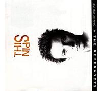 Wilde,Danny & the Rembrandts - Spin This