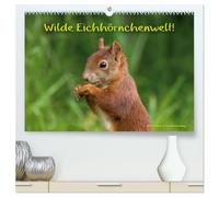 Wilde Eichhörnchenwelt! (hochwertiger Premium Wandkalender 2026 DIN A2 quer), Kunstdruck in Hochglanz: Ungewöhnliche Einblicke in das wilde Leben der Eichhörnchen.