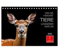 Wilde Heimat - Tiere unserer Natur (Tischkalender 2026 DIN A5 quer), CALVENDO Monatskalender: Die geheimnisvolle Welt der Waldtiere kunstvoll festgehalten.