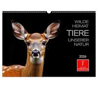 Wilde Heimat - Tiere unserer Natur (Wandkalender 2026 DIN A3 quer), CALVENDO Monatskalender: Die geheimnisvolle Welt der Waldtiere kunstvoll festgehalten.