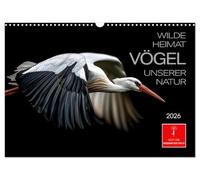 Wilde Heimat - Vögel unserer Natur (Wandkalender 2026 DIN A3 quer), CALVENDO Monatskalender: Erleben Sie die zeitlose Schönheit der Vogelwelt.