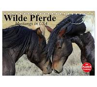 Wilde Pferde. Mustangs in USA (Tischkalender 2026 DIN A5 quer), CALVENDO Monatskalender: Die Mustangs der USA in Wyoming und Utah