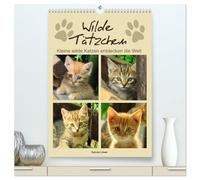 Wilde Tätzchen, kleine wilde Katzen entdecken die Welt (hochwertiger Premium Wandkalender 2026 DIN A2 hoch), Kunstdruck in Hochglanz: Bezaubernde Katzenkinder