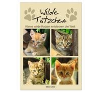 Wilde Tätzchen, kleine wilde Katzen entdecken die Welt (Wandkalender 2026 DIN A2 hoch), CALVENDO Monatskalender: Bezaubernde Katzenkinder
