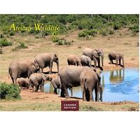 Wilde Tiere Afrikas Kalender 2026 - Wandkalender | Fotokalender Afrika 24x35cm | Naturfotografie | Tierfauna Afrikas | . mit Tiermotiven | Geschenk für Naturliebhaber
