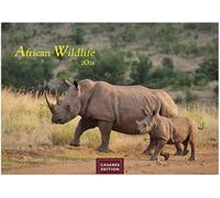 Wilde Tiere Afrikas Kalender 2026 - Wandkalender | Fotokalender Afrika 35x50cm | Naturfotografie | Tierkalender Afrika | Geschenk für Naturliebhaber