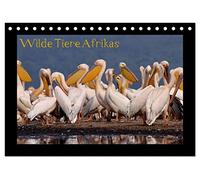 Wilde Tiere Afrikas (Tischkalender 2026 DIN A5 quer), CALVENDO Monatskalender: Wildtiere Afrikas hautnah erleben