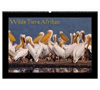 Wilde Tiere Afrikas (Wandkalender 2026 DIN A2 quer), CALVENDO Monatskalender: Wildtiere Afrikas hautnah erleben