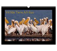 Wilde Tiere Afrikas (Wandkalender 2026 DIN A3 quer), CALVENDO Monatskalender: Wildtiere Afrikas hautnah erleben