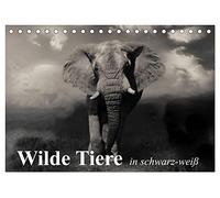 Wilde Tiere in schwarz-weiß (Tischkalender 2026 DIN A5 quer), CALVENDO Monatskalender: Afrikas wildlebende Tiere in eindrucksvollen Bildern