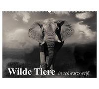 Wilde Tiere in schwarz-weiß (Wandkalender 2026 DIN A2 quer), CALVENDO Monatskalender: Afrikas wildlebende Tiere in eindrucksvollen Bildern