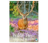 Wilde Tiere: Zuhause in Wald und Flur (Tischkalender 2026 DIN A5 hoch), CALVENDO Monatskalender: Wildtiere Europas: Faszinierende Natur (Planer-Kalendarium)