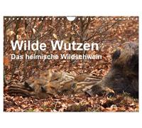 Wilde Wutzen. Das heimische Wildschwein (Wandkalender 2027 DIN A4 quer), CALVEND