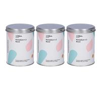 Wilden Remedium n.2 Boost Preparato per Infusione 3x90 g