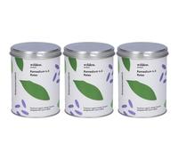 Wilden Remedium n.6 Relax Preparato per Infusione 3x90 g