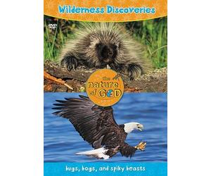 Wilderness Discoveries: Bugs, Bogs and Spiky Beasts