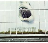 Wilderness Heart by Black Mountain (2010-09-14)