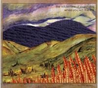 Wilderness Of Manitoba - When You Left The Fire