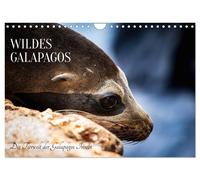 Wildes Galapagos - Die Tiere der Galapagos Inseln (Wandkalender 2027 DIN A4 quer