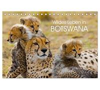 Wildes Leben in Botswana (Tischkalender 2026 DIN A5 quer), CALVENDO Monatskalender: Im Reich der wildlebenden Tiere Afrikas