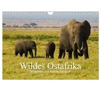 Wildes Ostafrika - Tansania und Kenia hautnah (Wandkalender 2026 DIN A4 quer), CALVENDO Monatskalender: Erleben Sie Ostafrikas Tierwelt hautnah - eindrucksvolle Bilder aus Tansania und Kenia