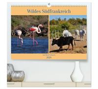 Wildes Südfrankreich (hochwertiger Premium Wandkalender 2026 DIN A2 quer), Kunstdruck in Hochglanz: Einzigartige Tiere und Vögel der Provence