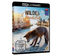 Wildes Venedig (4K Ultra-HD)