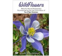WildFlowers