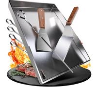 WILDGÅRD - piastra per grigliare plancha in acciaio spesso e inossidabile - 25 x 35 cm - adatta per barbecue a gas e carbonella + 2x spatola per grigliare e 5x spiedini