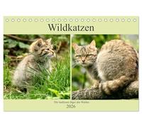 Wildkatzen - Die lautlosen Jäger des Waldes (Tischkalender 2026 DIN A5 quer), CALVENDO Monatskalender: In unseren Wäldern ist die Wildkatze wieder zuhause