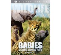Wildlife:Babies & Antarctica a - Wildlife: Babies & Antarctica a