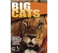 Wildlife: Big Cats (DVD)