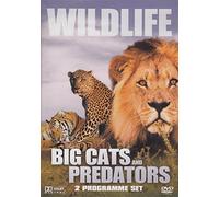 Wildlife: Big Cats & Predators