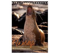 Wildlife - Die Tierwelt der Galapagos Inseln (Tischkalender 2026 DIN A5 hoch), CALVENDO Monatskalender: Von majestätischen Riesenschildkröten über ... auf den Galapagos Inseln ist einmalig.