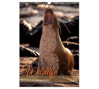 Wildlife - Die Tierwelt der Galapagos Inseln (Wandkalender 2026 DIN A3 hoch), CALVENDO Monatskalender: Von majestätischen Riesenschildkröten über ... auf den Galapagos Inseln ist einmalig.