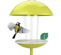 WILDLIFE FRIEND I Mangiatoia per uccelli con bastoncino 141 cm, mangiatoia per uccelli - stazione di alimentazione, mangiatoia per uccelli selvatici, verde