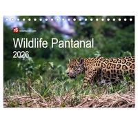 Wildlife Pantanal 2026 (Tischkalender 2026 DIN A5 quer), CALVENDO Monatskalender: Im Reich des Jaguar - einzigartige Wildtiere des brasilianischen Pantanals in schönen Bildern eingefangen