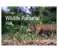 Wildlife Pantanal 2026 (Wandkalender 2026 DIN A4 quer), CALVENDO Monatskalender: Im Reich des Jaguar - einzigartige Wildtiere des brasilianischen Pantanals in schönen Bildern eingefangen