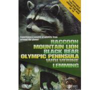 Wildlife - Raccoon / Mountain Lion / Bla [Edizione: Regno Unito] [Edizione: Regno Unito]
