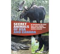 Wildlife - Secret Animals Of Usa And Can: Boulevard Entertaiment [Edizione: Regno Unito] [Edizione: Regno Unito]