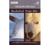 Wildlife Specials - Buckelwal/Polarbär