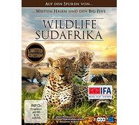 Wildlife Südafrika - Auf den Spuren von weissen Haien und den Big Five