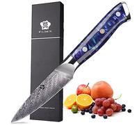 WILDMOK Coltello da cucina da 9cm, Coltello da frutta Acciaio Damasco a 67 strati VG 10, Coltello da cucina piccolo Perfetto per tagliare frutta e verdura Coltello piccolo