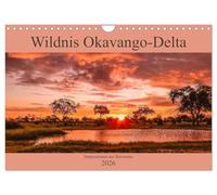 Wildnis Okavango-Delta (Wandkalender 2026 DIN A4 quer), CALVENDO Monatskalender: Impressionen aus Botswana - Okavango-Delta