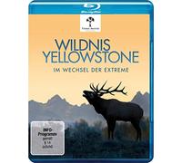 Wildnis Yellowstone - Im Wechsel der Extreme