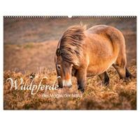 Wildperde - die Magie der Natur (Wandkalender 2026 DIN A2 quer), CALVENDO Monatskalender: Magie wilder Pferde