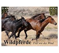Wildpferde. Frei wie der Wind (Tischkalender 2026 DIN A5 quer), CALVENDO Monatskalender: Die grenzenlose Freiheit der Wildpferde in Amerika